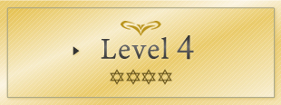 Level4